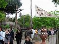 IMG_0876
