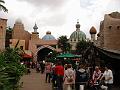 IMG_0895