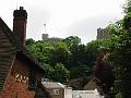IMG_0059