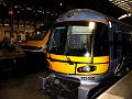 IMG_0190