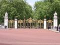 IMG_0239
