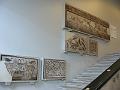 IMG_0431