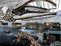 IMG_0512