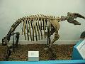 IMG_0514