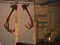 IMG_0540