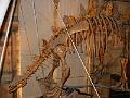 IMG_0550
