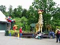 IMG_0606