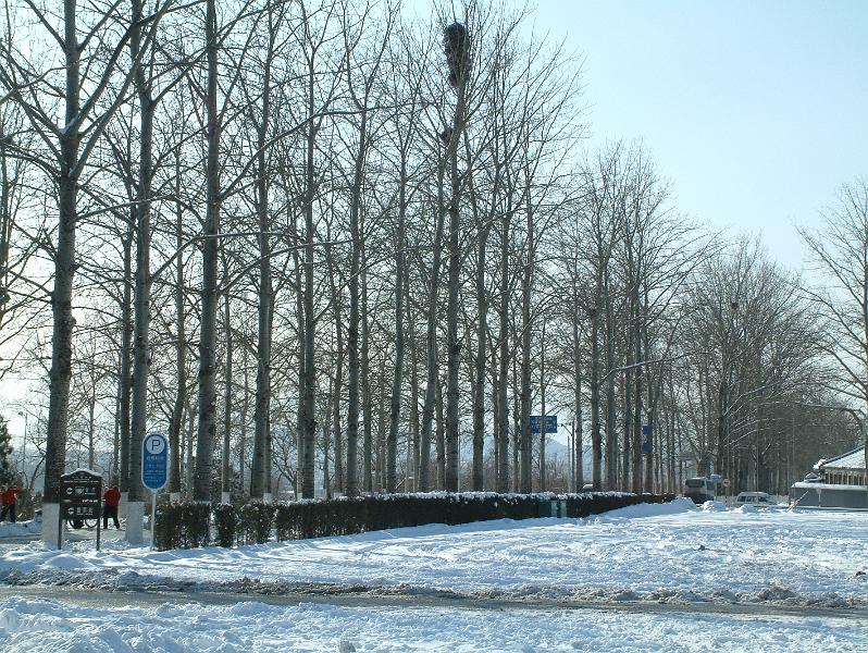 02122423.jpg