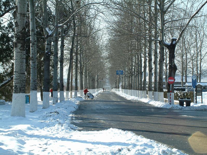 02122424.jpg