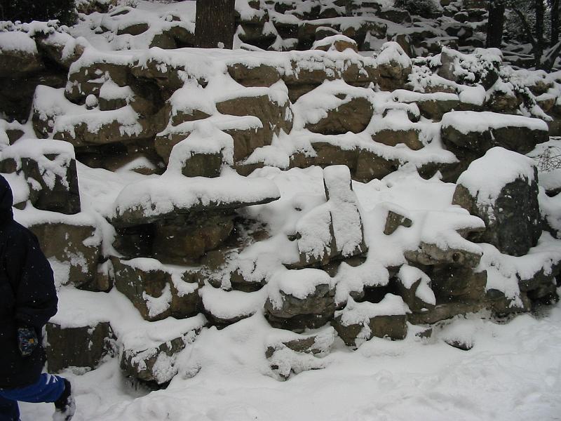 159_5950.JPG