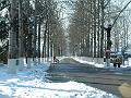 02122424